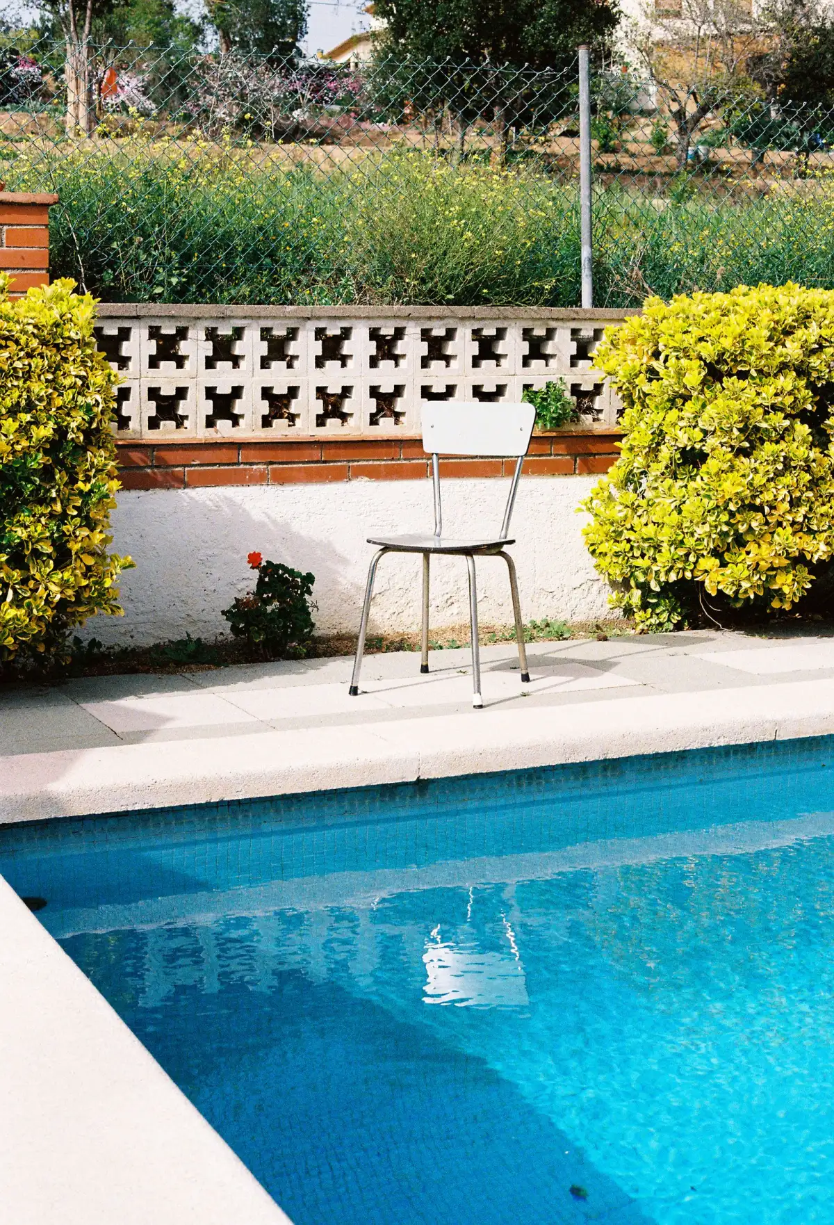 Backyard pool with chain link beyond a low wall