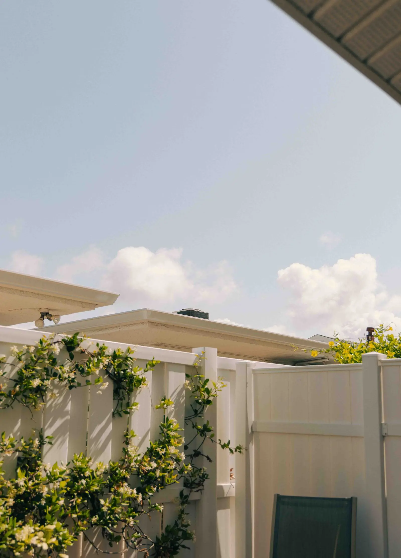 Tall white privacy fence with flowering vines in a residential yard
