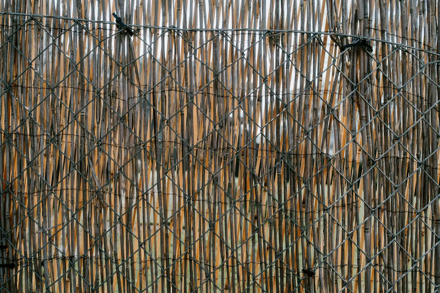 A light screen on wire, a specialty privacy layer rather than a structural wall